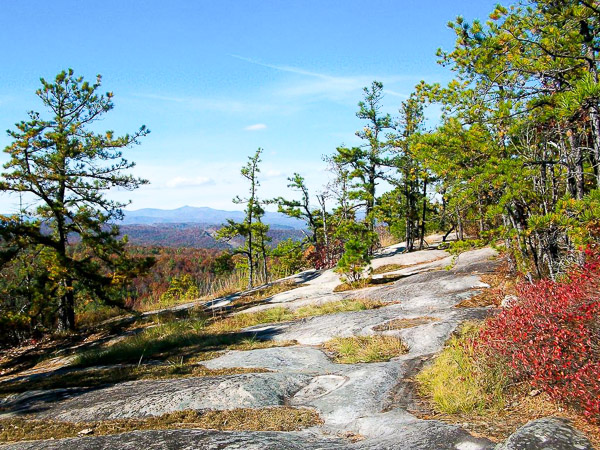 Fun things to do in Hendersonville NC : Cedar Rock Mountain in DuPont State Forest in Hendersonville, NC. 